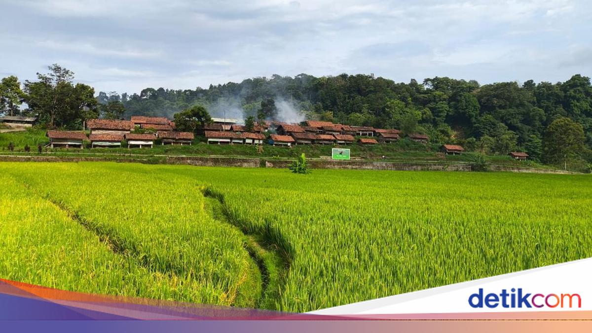Menyusuri Pesona Objek Wisata Alam Desa Cibuntu Kuningan