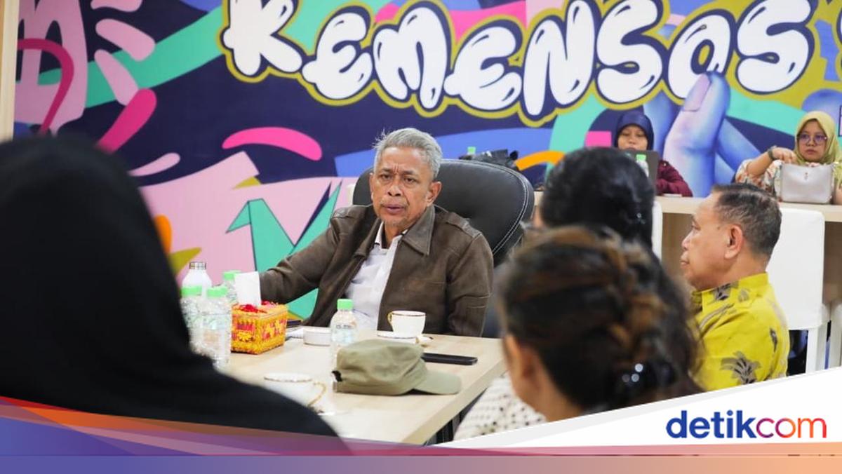 Terima Audiensi Daerah, Wamensos Bahas DTSEN dan Penanggulangan Bencana