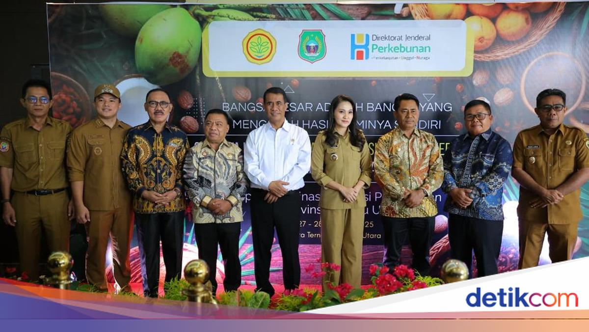 Dorong Komoditas Unggulan, Kementan Dukung Pertanian Kelapa di Maluku Utara