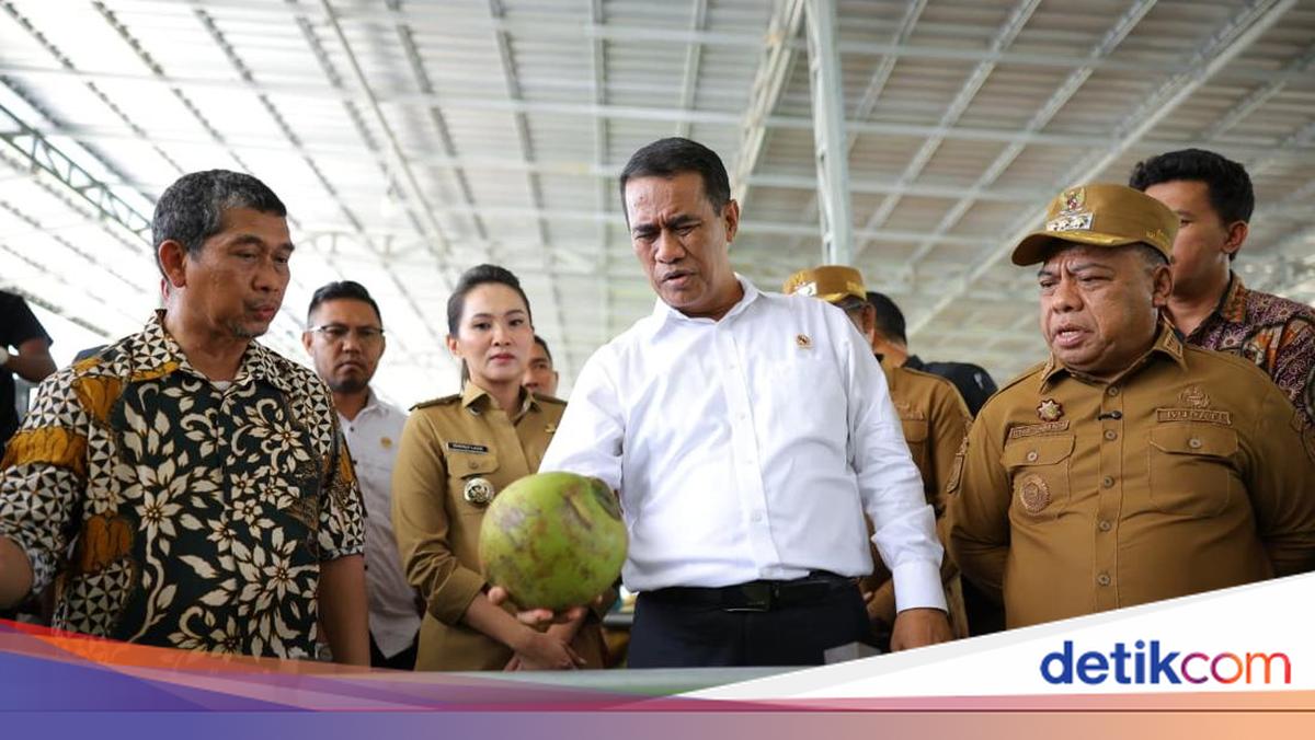 Kunker ke Halmahera, Mentan Komitmen Tingkatkan Kesejahteraan Petani Kelapa