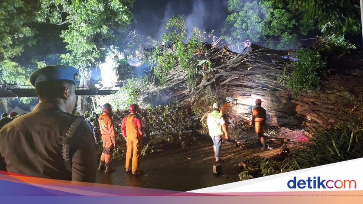 Penanganan Pohon Tumbang di Dekat Stasiun Bogor Diperkirakan Selesai Pagi Ini