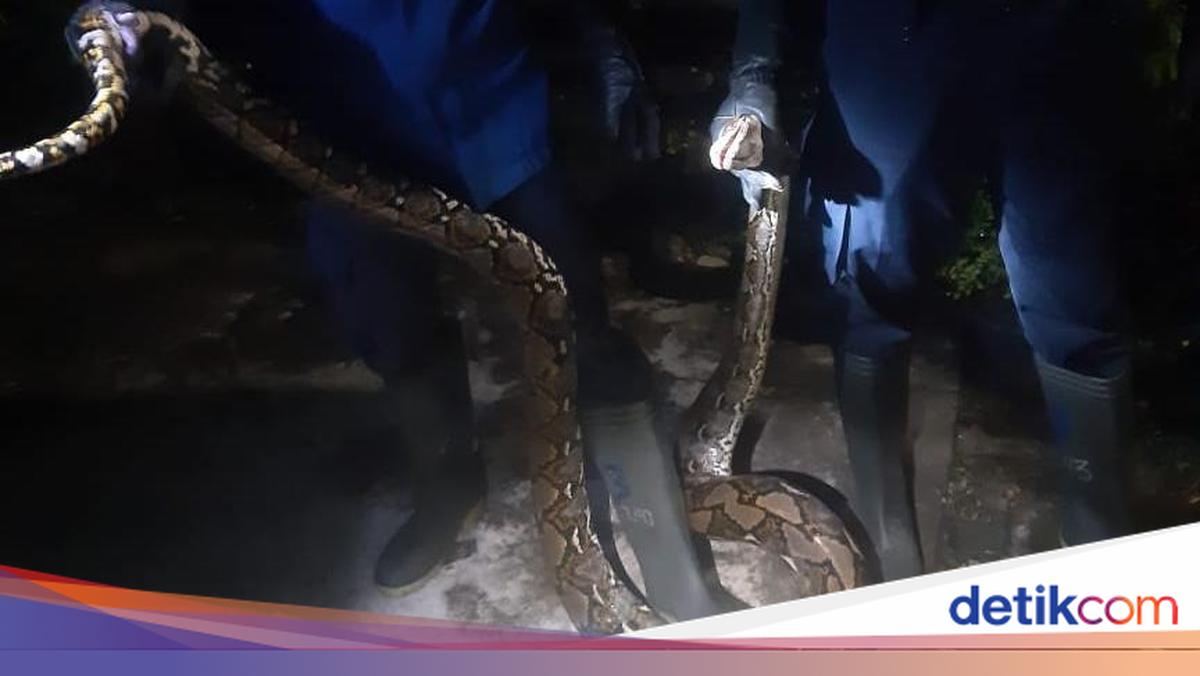 Mashhur nemis porno aktrisalar Nijniy Novgorod viloyatining Pavlovo shahridagi fohishalarning suratlari