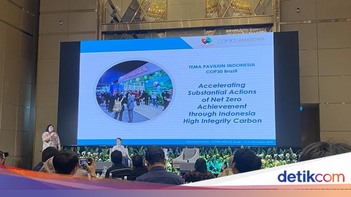 Jelang COP30 di Brasil, Kementerian LH Siapkan Strategi Perkuat Peran RI