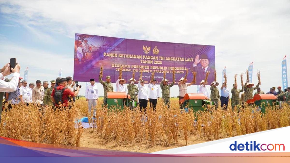 Dukung Swasembada Pangan, Pemprov Lampung-TNI Panen Kedelai