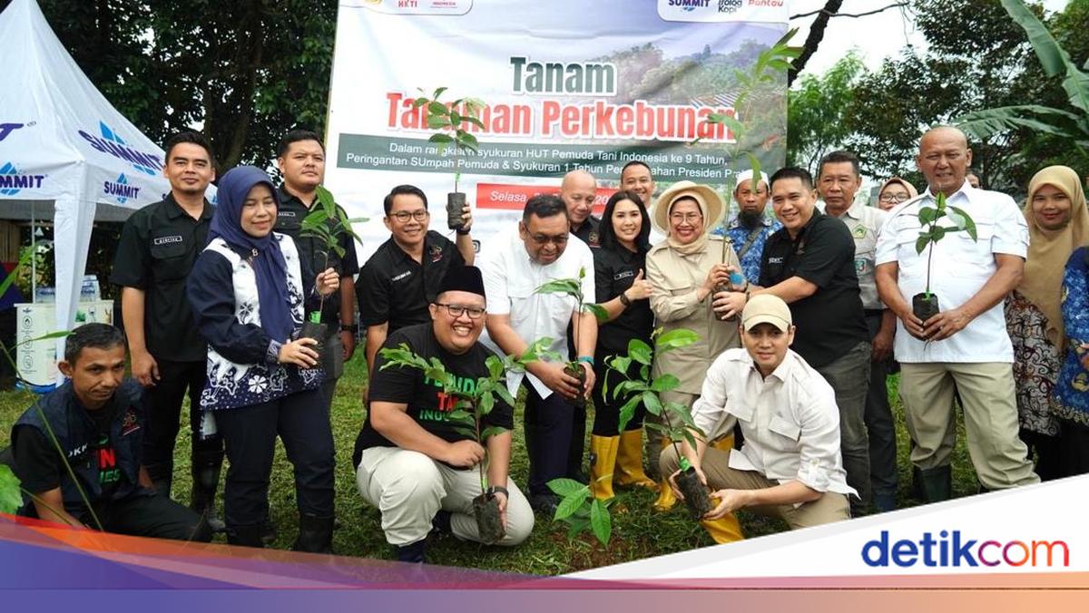 Rayakan HUT ke-39, Pemuda Tani Indonesia Gelar Aksi Tanam Serentak Nasional