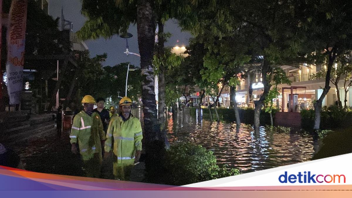 Biang Kerok Banjir di Kemang Sempat Capai Ketinggian 1 Meter