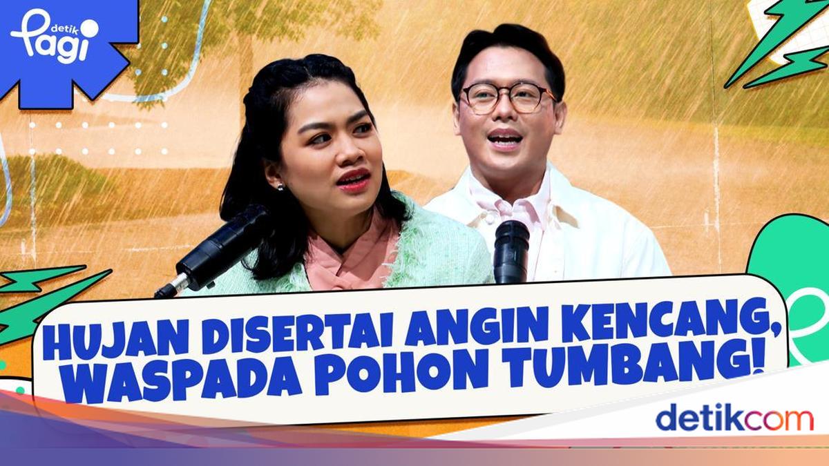 Hujan Disertai Angin Kencang, Waspada Pohon Tumbang!
