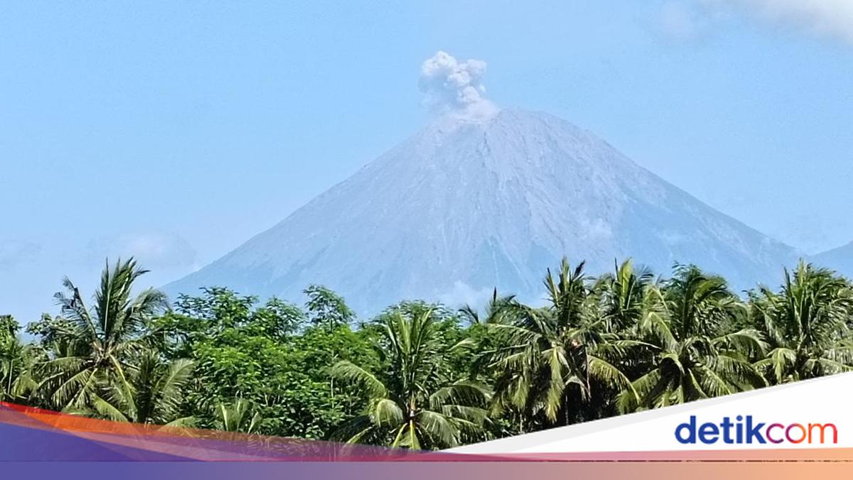 Gunung Semeru Kembali Erupsi Pagi Ini, Tinggi Letusan 800 Meter