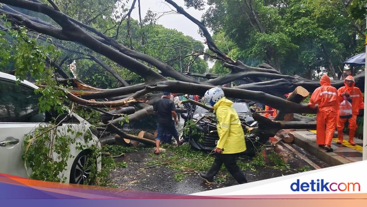 Catat! Ini Nomor Posko Pohon Tumbang di Jakarta