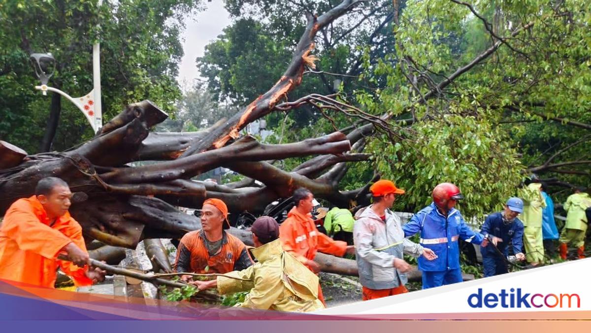 Distamhut DKI Pastikan Tak Persulit Syarat Santunan Korban Pohon Tumbang