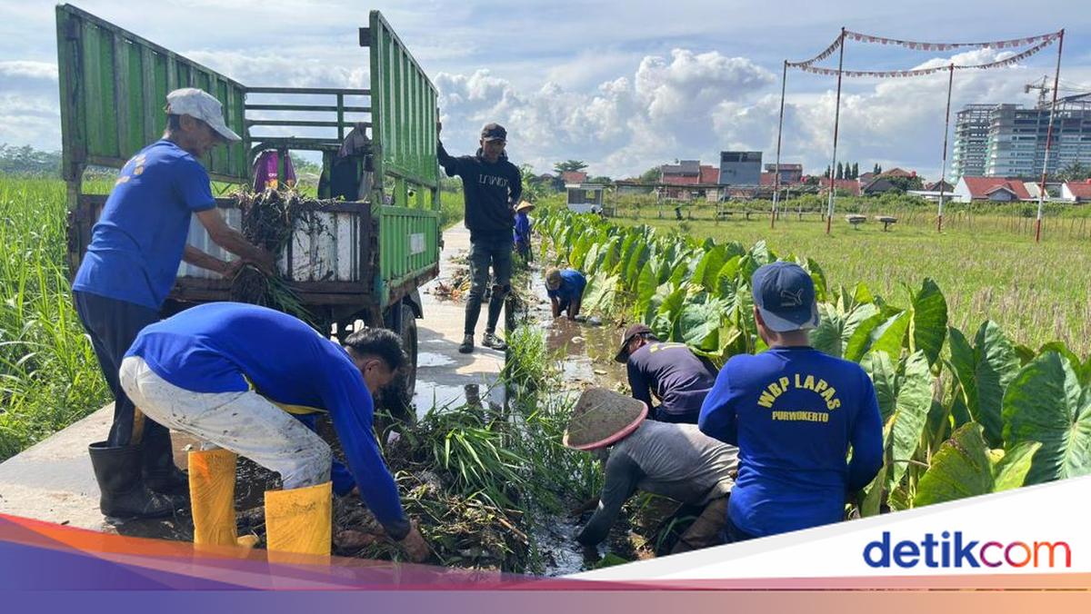 Petugas-Warga Binaan Lapas Purwokerto Kerja Bakti-Salurkan Bansos di Pamijen
