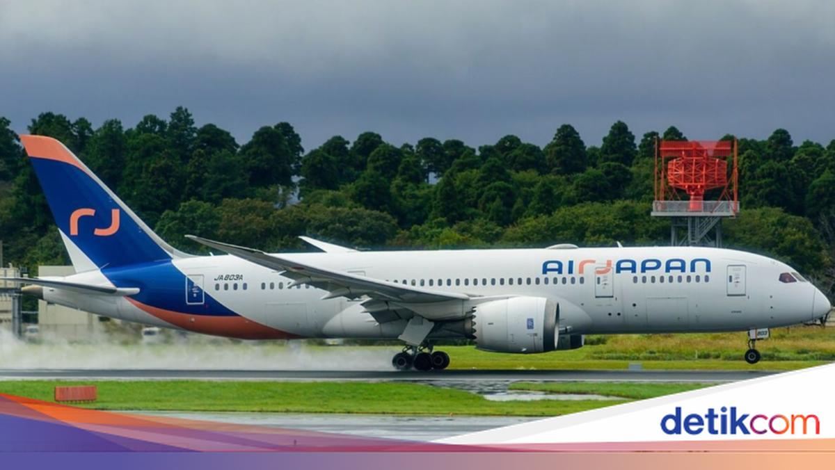 LCC Japan Airlines Dies After 2 Years of Operation