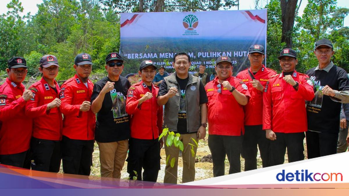 Wamenhut Dorong Kolaborasi Pulihkan Taman Nasional Tesso Nilo Riau