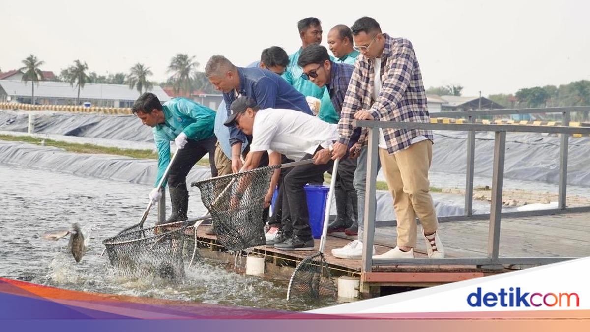 Menteri KP dan Raffi Cs ke BINS, Ajak Pemuda Tekuni Budidaya Perikanan