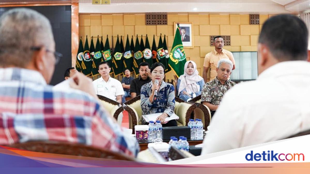 Viral Bidan Deli Serdang Sebut Ada Pungli Kenaikan Pangkat, Kini Tarik Ucapan