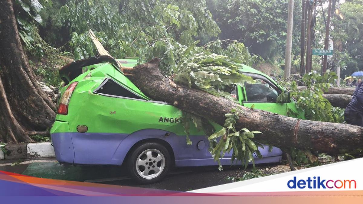 Pohon Tumbang Timpa Angkot di Bogor hingga Ringsek dan Tutup Lalin