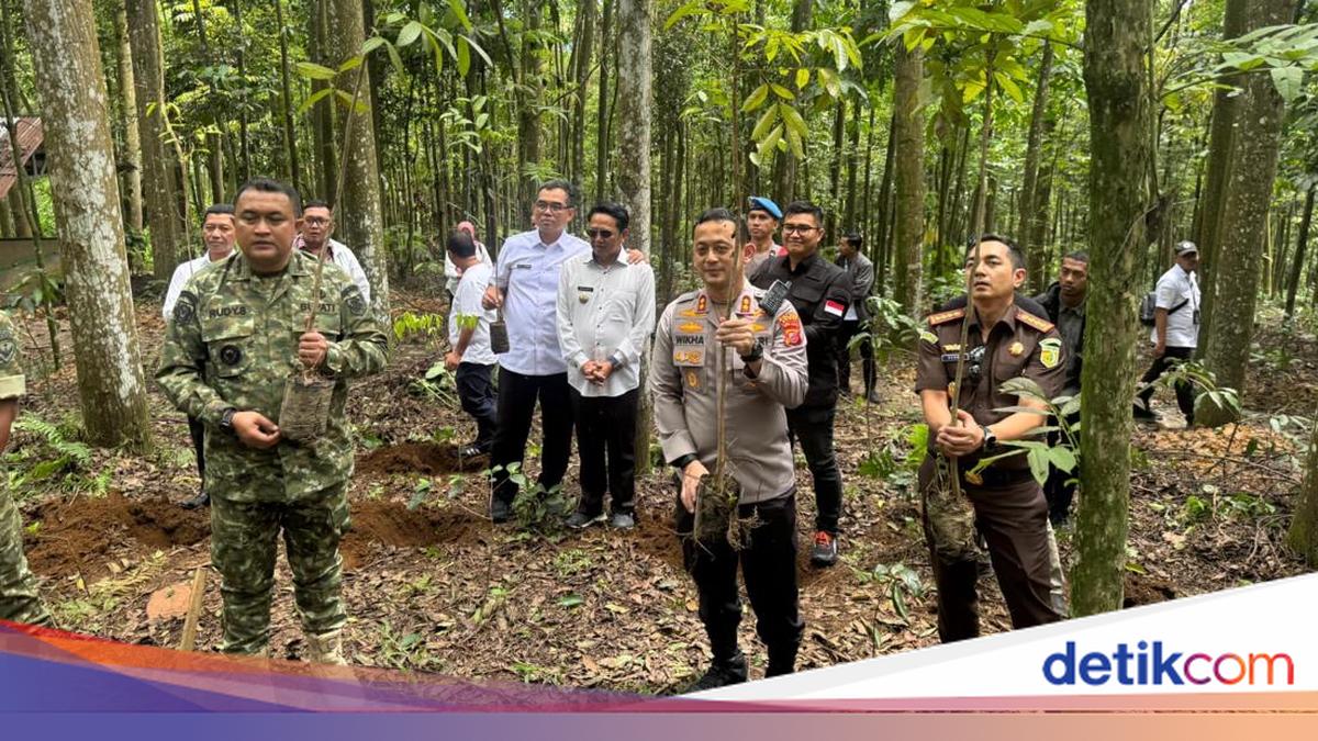 Forkopimda Bogor Tanam Pohon di Kawasan Puncak, Ajak Masyarakat Jaga Kelestarian Lingkungan