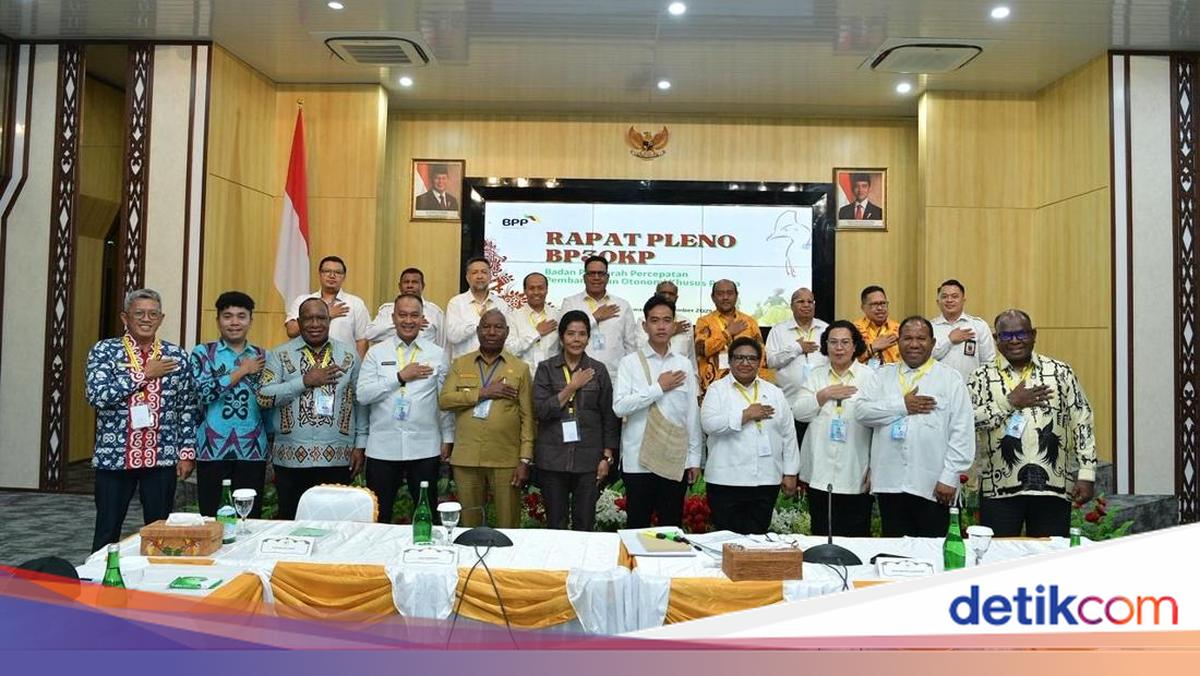Wamendagri Pastikan Pemerintah Bakal Percepat Penyaluran Dana Otsus Papua