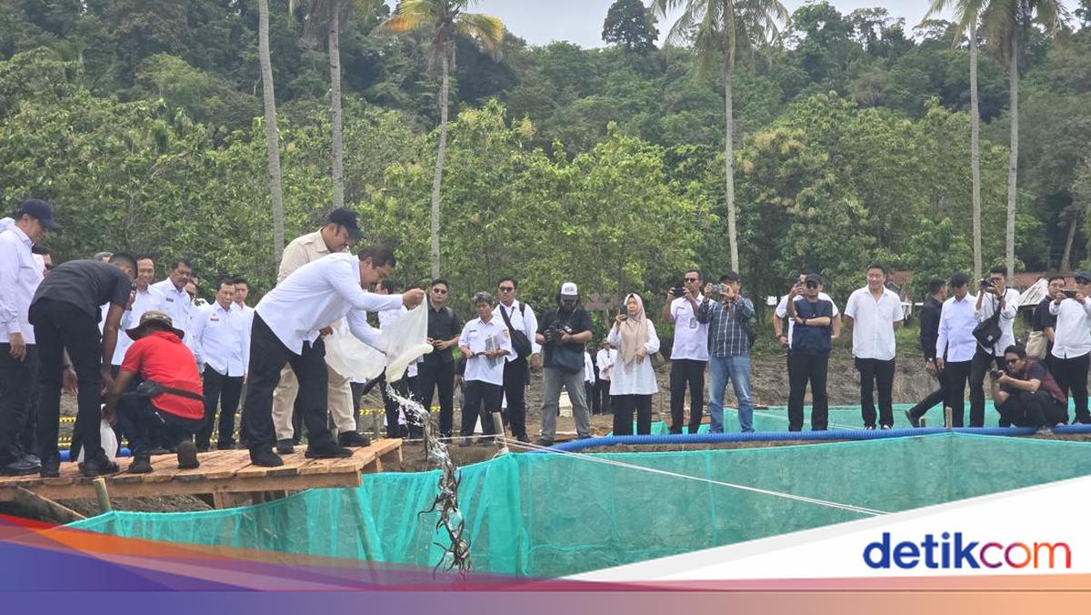 Menteri Imipas-Kepala Bappenas Lepas 1.200 Bibit Sidat di Nusakambangan