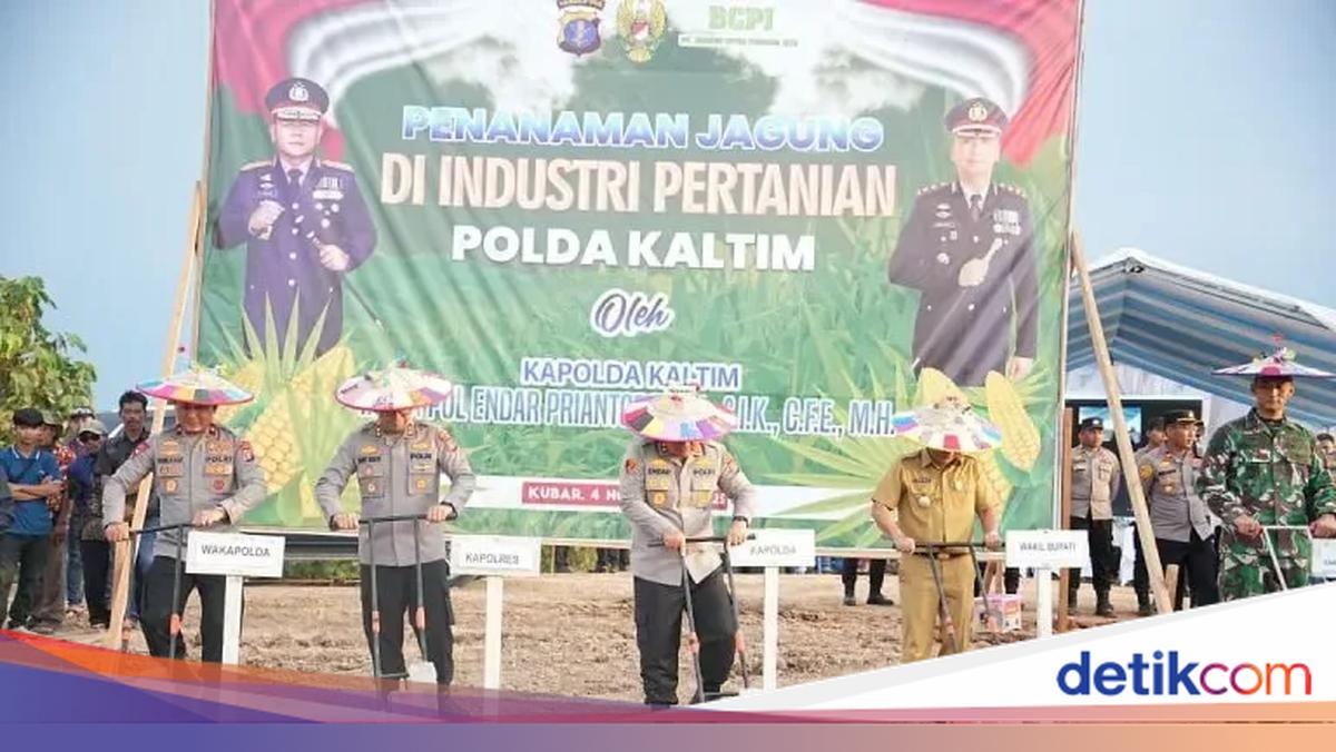 Polda Kaltim Luncurkan Industri Pertanian Jagung, Dukung Ketahanan Pangan