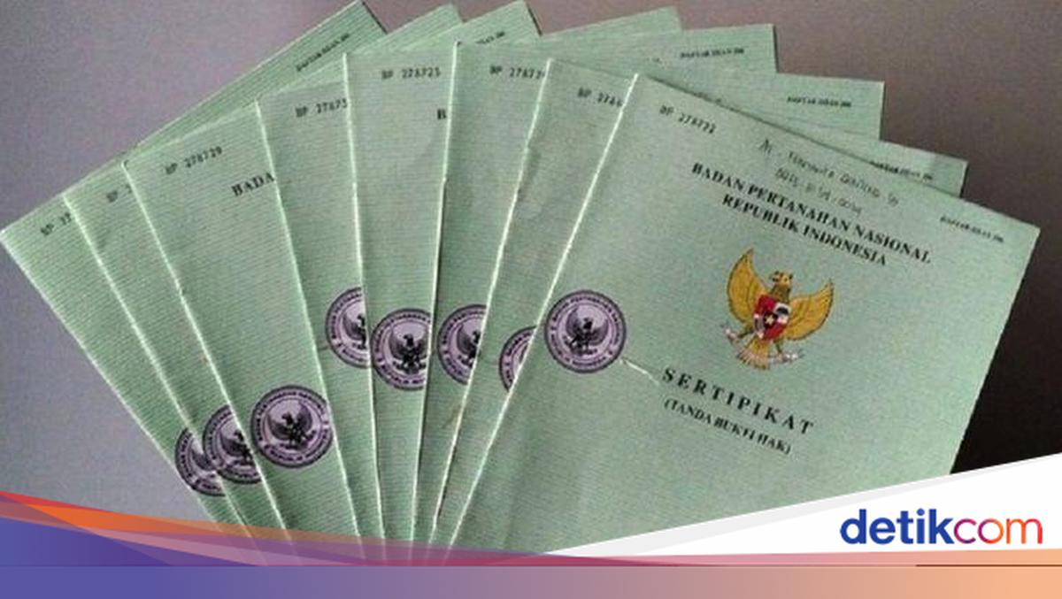 Sengketa Sertifikat Tanah Ganda: Cara Menentukan Sertifikat Sah dan Solusinya