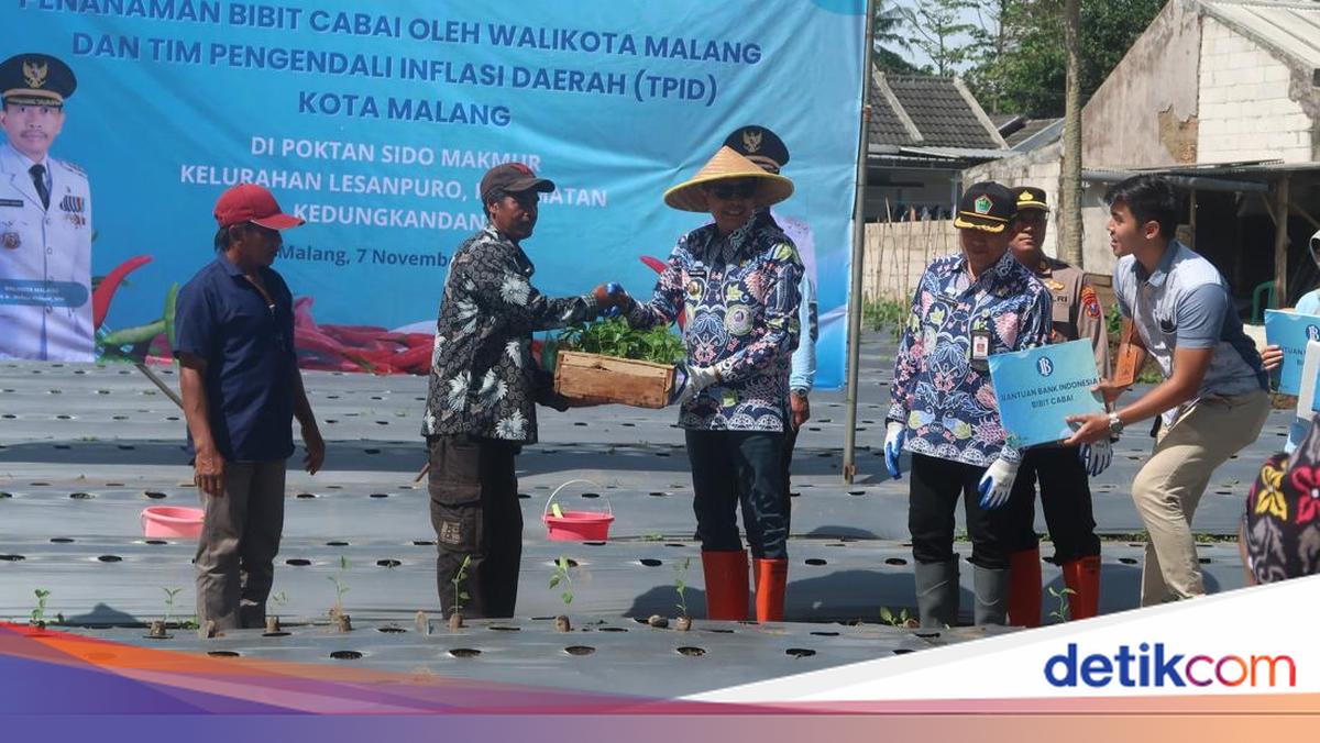 Pemkot Malang Bersama TPID Tingkatkan Produksi Cabai untuk Stabilitas Pasar