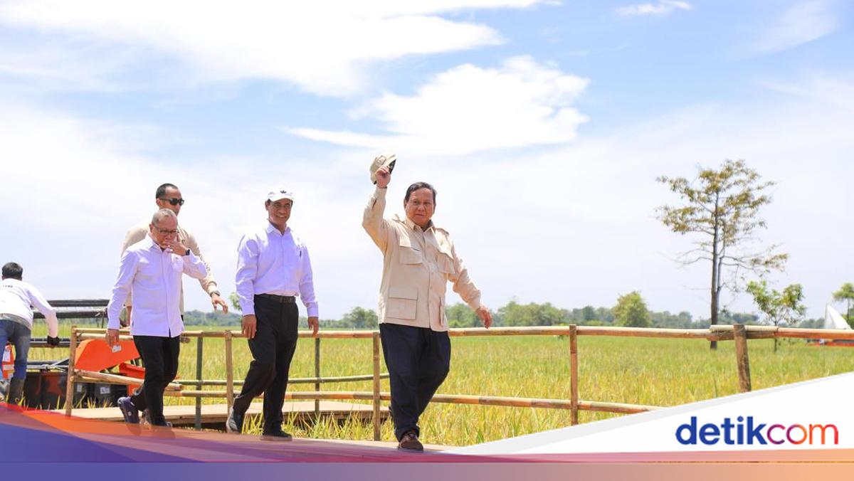 Survei Indikator: 84,9% Masyarakat Puas Kinerja Mentan Amran