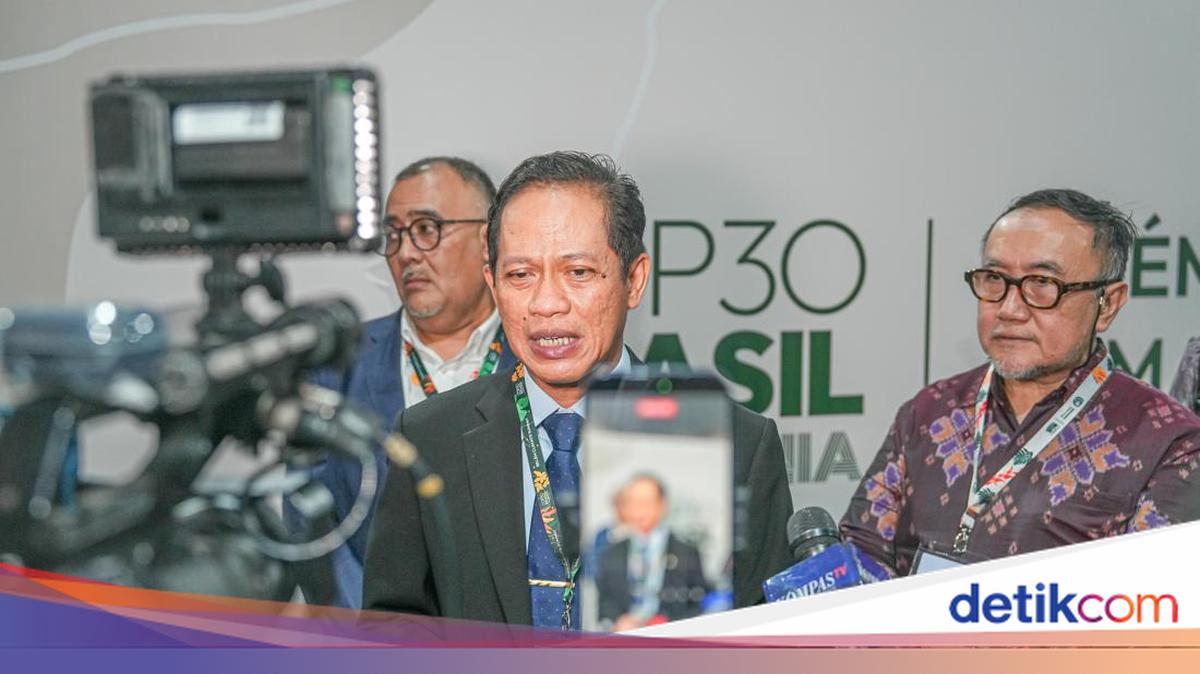 Indonesia Targetkan Bawa Pulang Rp 16 T dari Konferensi Iklim Brasil