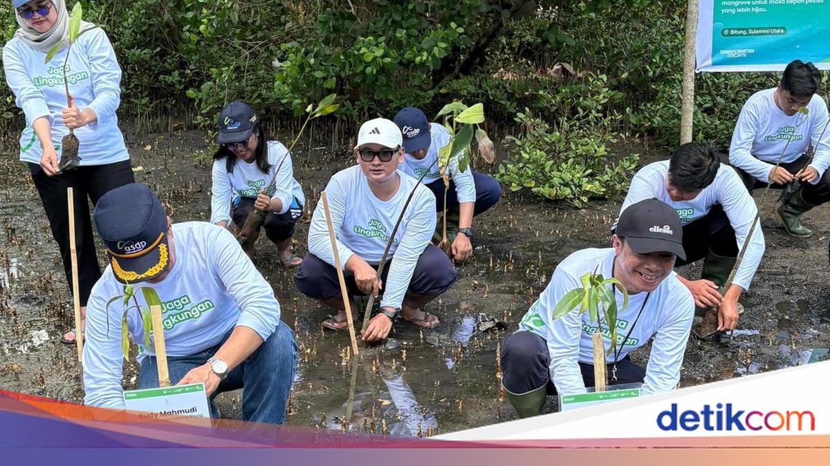 Lestarikan Ekosistem Pesisir, ASDP Tanam 3.000 Mangrove di Bitung