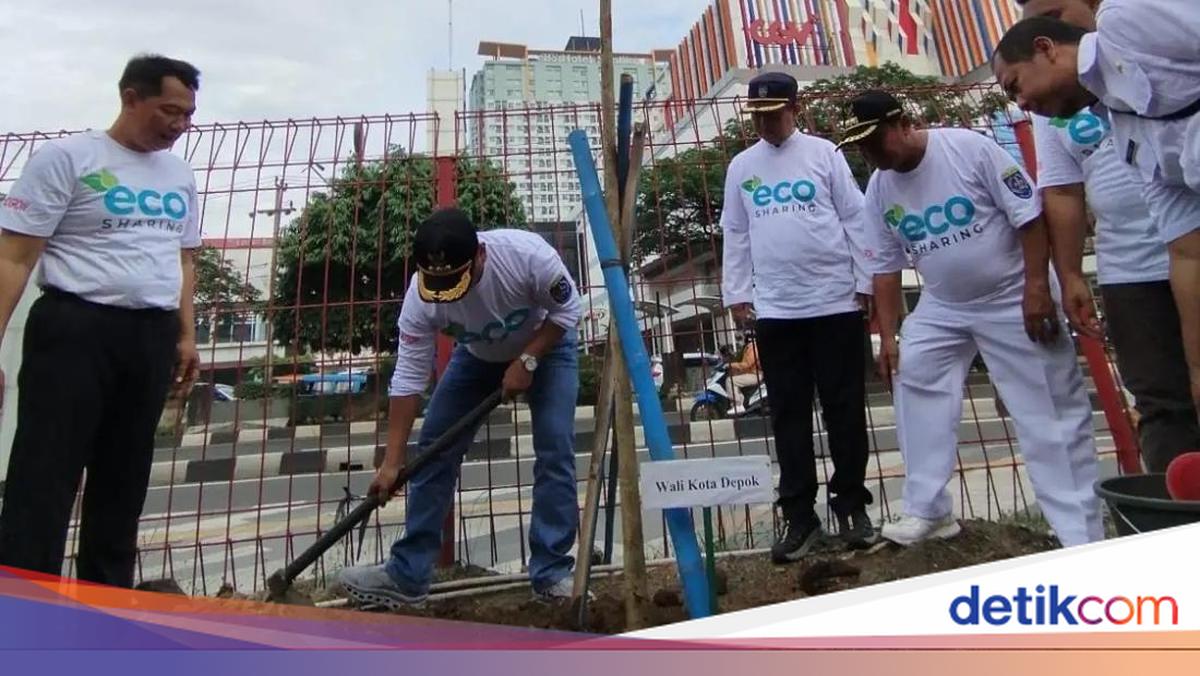 Bak Jepang, Jalan Margonda Raya Depok Bakal Ditanami Pohon Tabebuya