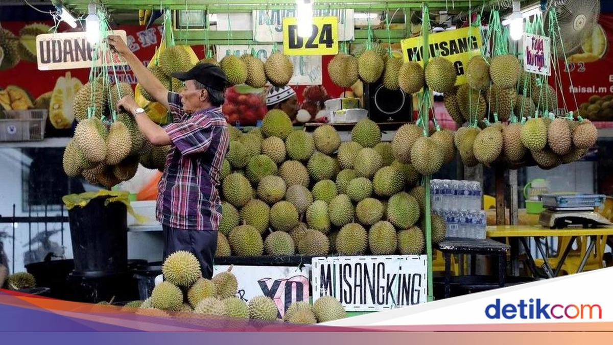 マレーシア政府、ドリアンを国の果物に指定するよう要請