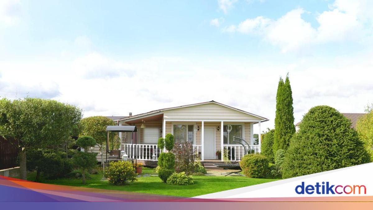 Holly Thomson, pemilik penginapan di Skotlandia, kesal dengan ulasan buruk tamu tentang suara domba. Selama ini, suara domba itu jadi daya tarik.