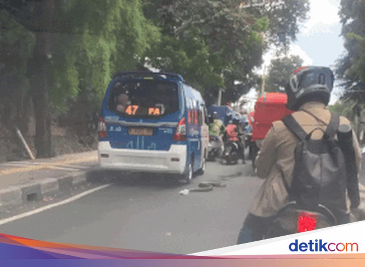 Viral Sanca Besar Melata di Jalanan Jaksel, Warga Sampai Ketakutan
