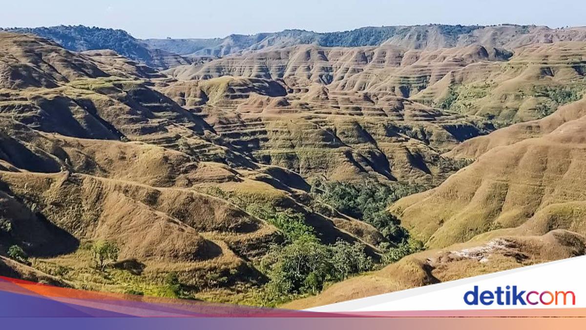 Bukit Tanarara, Daya Tarik Wisata Alam Sumba Timur yang Bikin Takjub