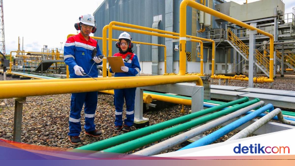 Limbah Sawit Sumsel Disulap Jadi Energi Hijau
