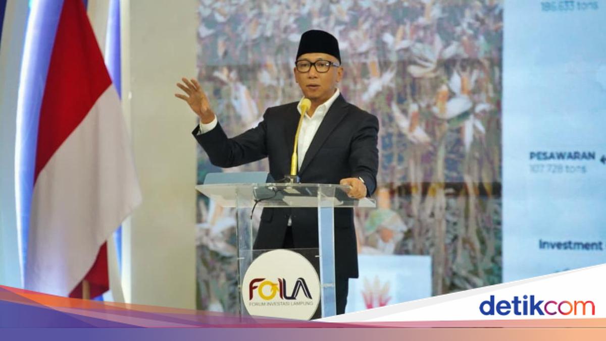 Dorong Hilirisasi Komoditas Unggulan, Lampung Siap Jadi Pusat Investasi