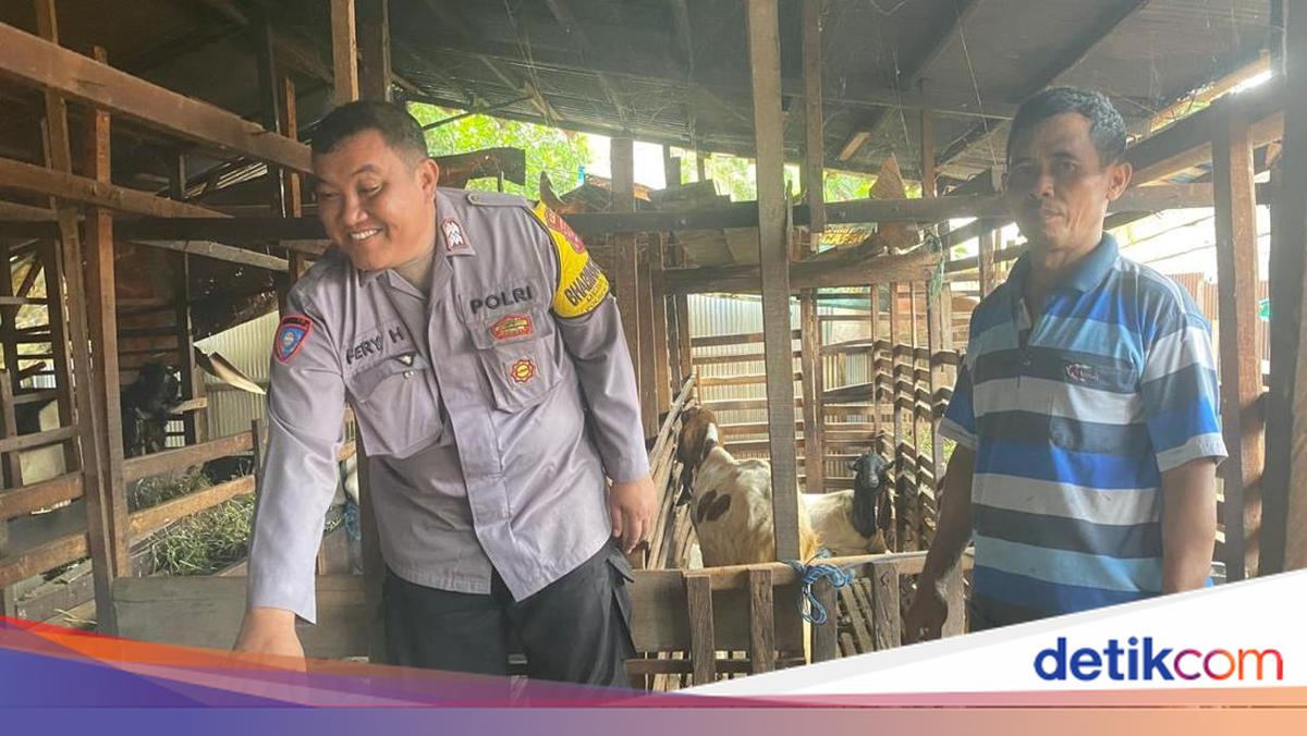 Aiptu Fery Tingkatkan Ekonomi Desa Melalui Pembinaan UMKM hingga Ternak Kambing