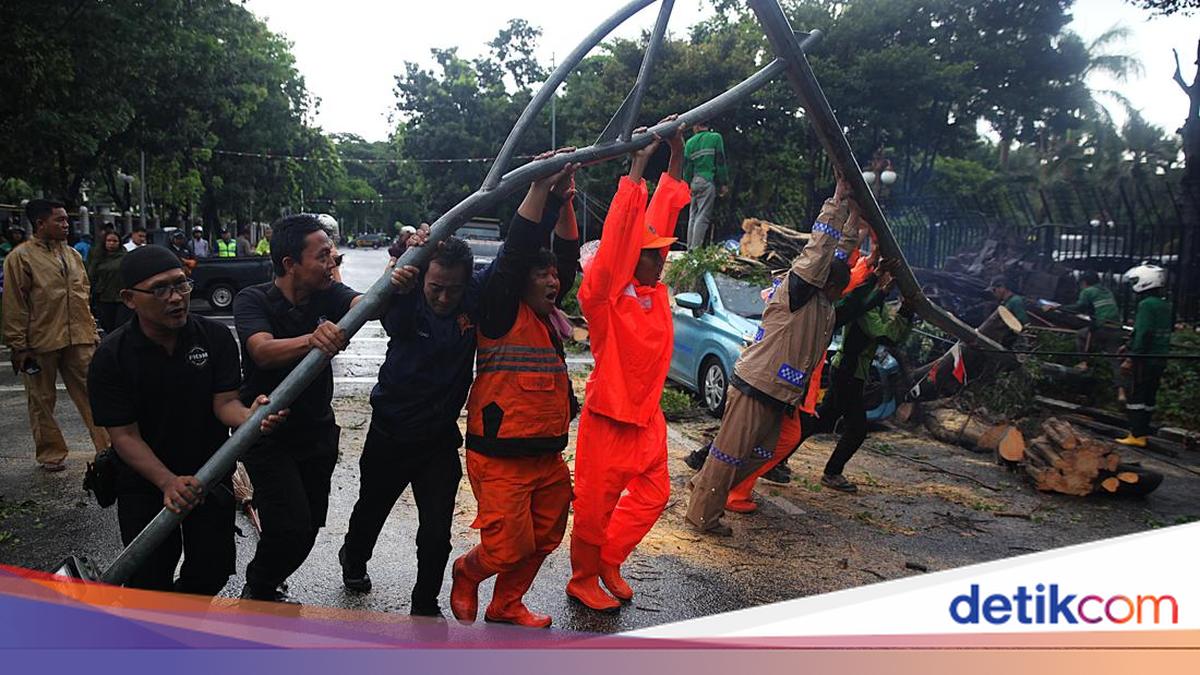 Pohon Tumbang di Depan Kemenkeu, 2 Mobil Ringsek Tertimpa Batang