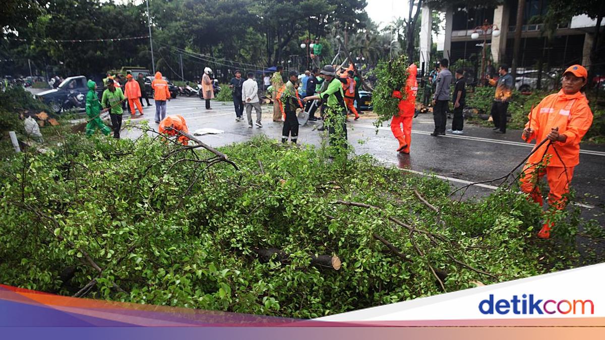 Waspada Angin Kencang di Jakarta pada 23-24 Januari, Cek Peringatannya