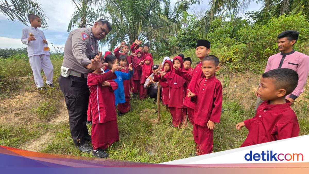 Aksi 'Hijau' di Rohul, Ratusan Siswa Tanam Pohon Serentak di 23 Sekolah