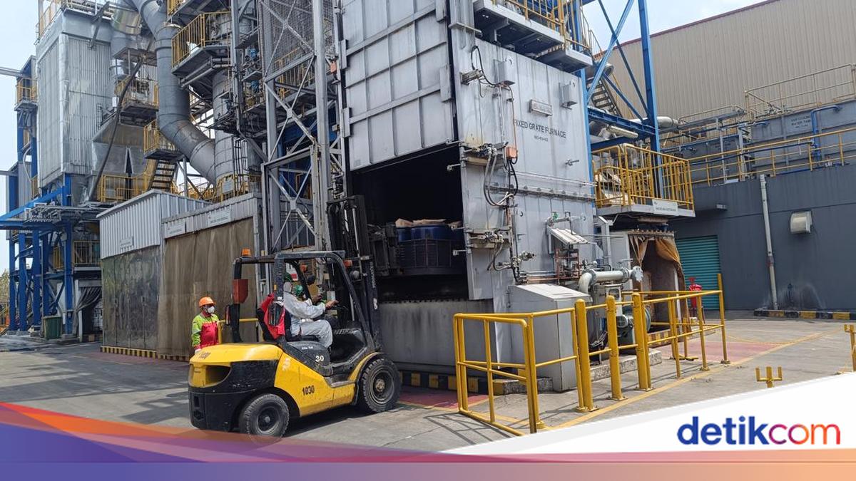 Kementerian LH Musnahkan 5 Ton Udang Asal Cikande yang Terpapar Radioaktif