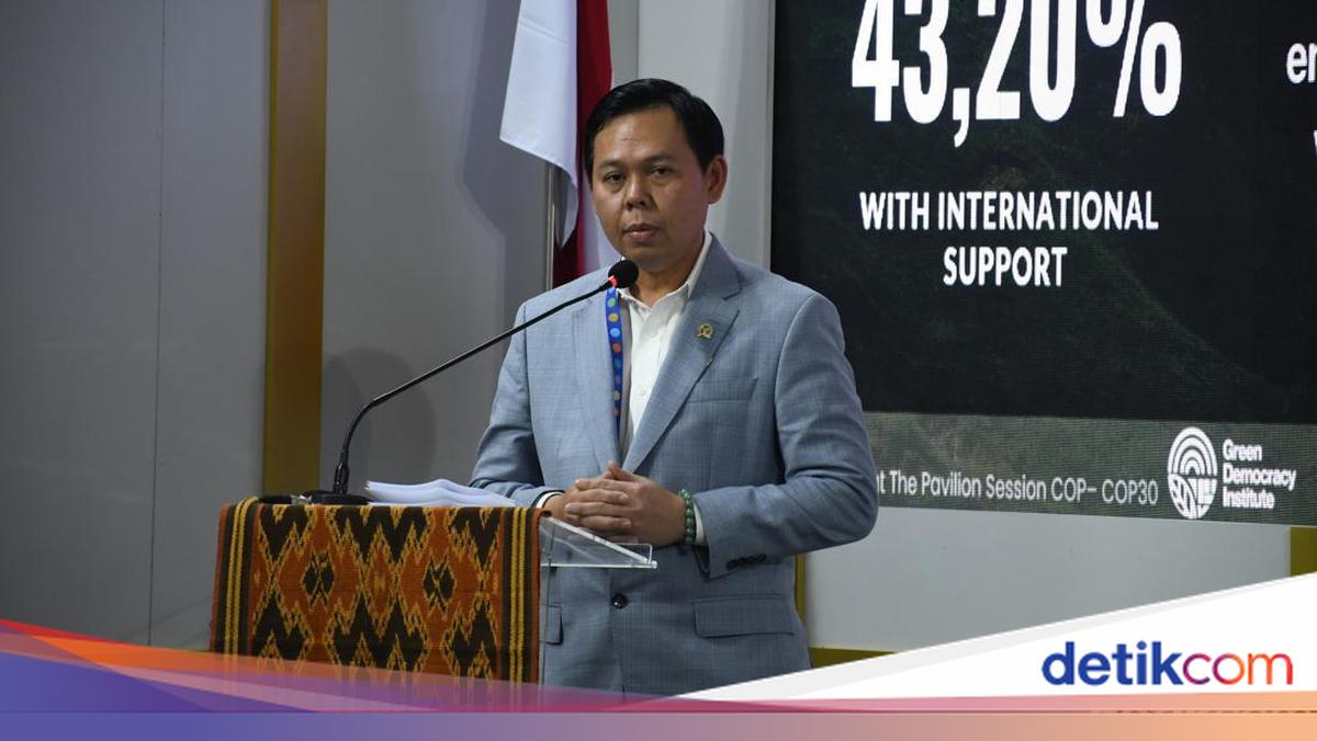 Prabowo Ingin Papua Ditanam Sawit, Ketua DPD Sorot Keseimbangan Ekologis