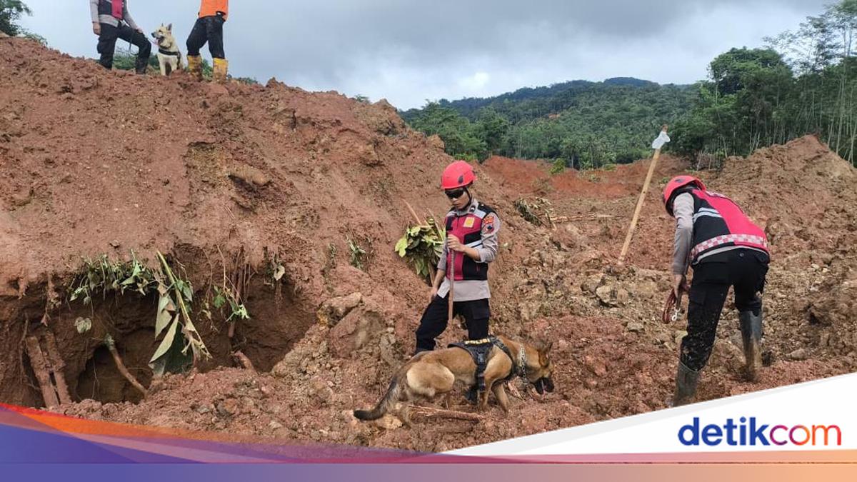 Tim SAR Kembali Temukan 8 Jasad Korban Longsor di Cilacap