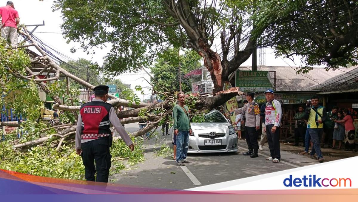 Penampakan Mobil Yaris Ringsek Usai Tertimpa Pohon Tumbang di Ciputat