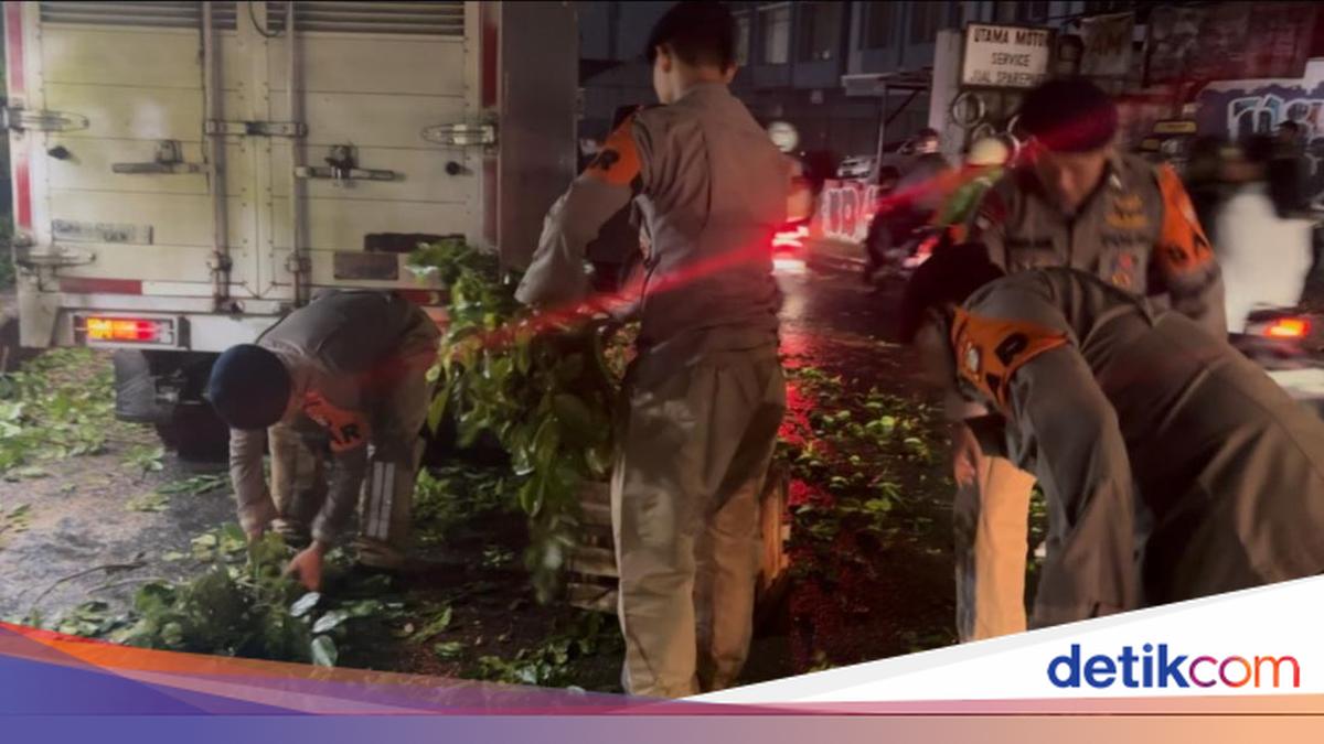 Aksi Brimob Bantu Tangani Pohon Tumbang di Ciputat, Akses Kini Kembali Normal