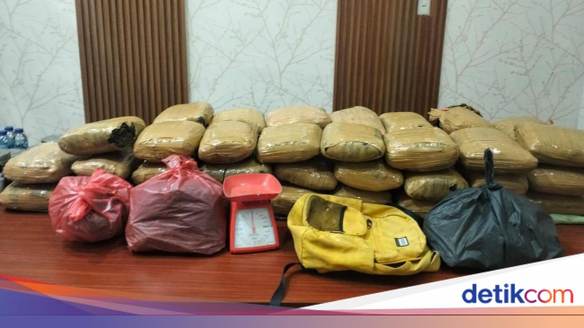 Bareskrim Gagalkan Penyelundupan Narkoba Jaringan Sumut, 47 Kg Ganja Disita