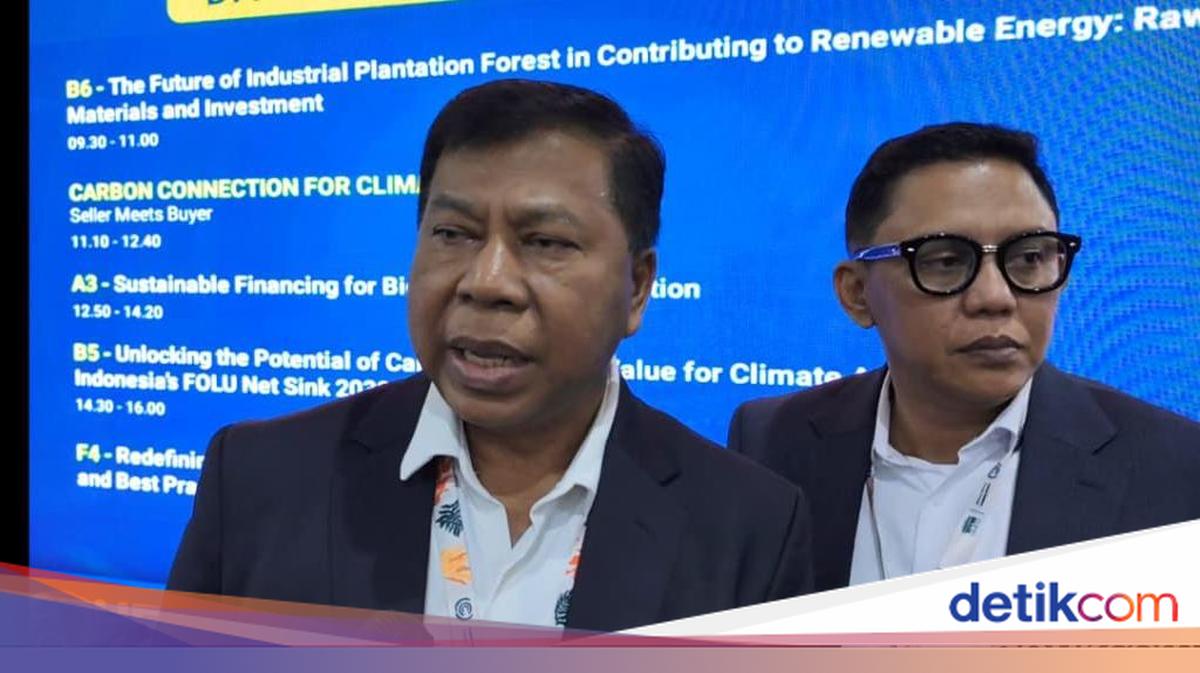 MA Sebut Ada 1.700 Hakim Bersertifikat untuk Tangani Perkara Lingkungan Hidup