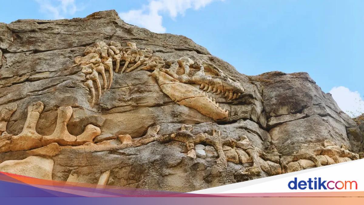 Giant Dinosaur Tongnanlong Zhimingi Unearthed in China