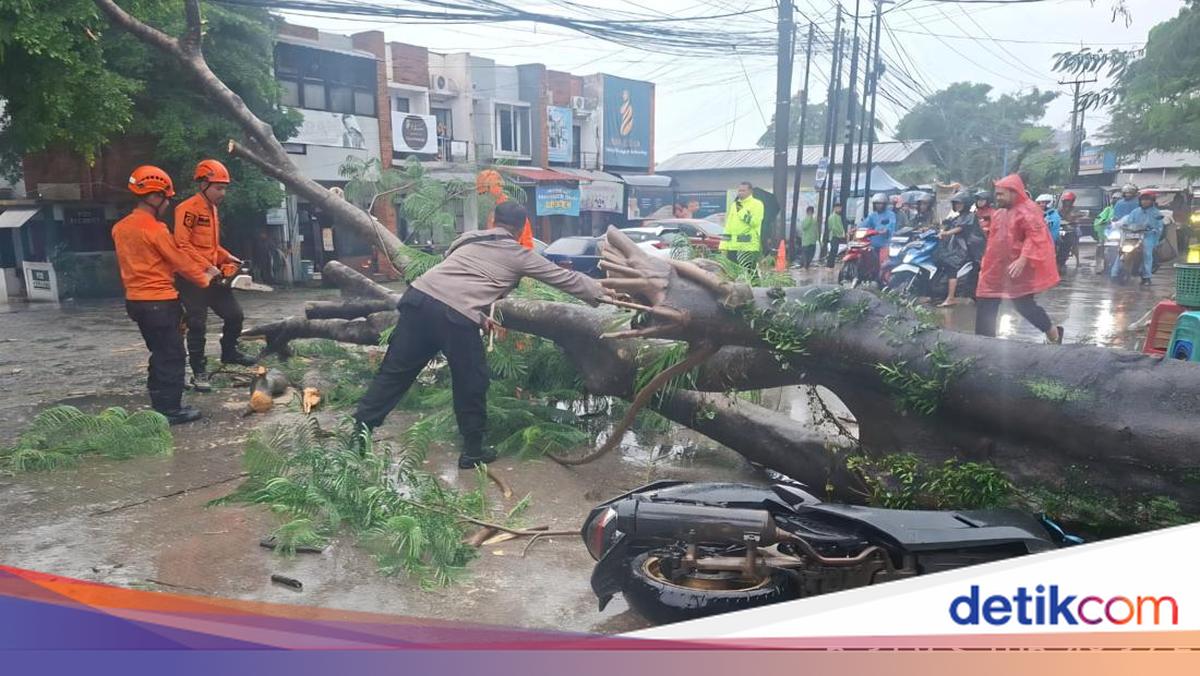 Bogor Diguyur Hujan Deras, Pohon Tumbang hingga Papan Reklame Ambruk