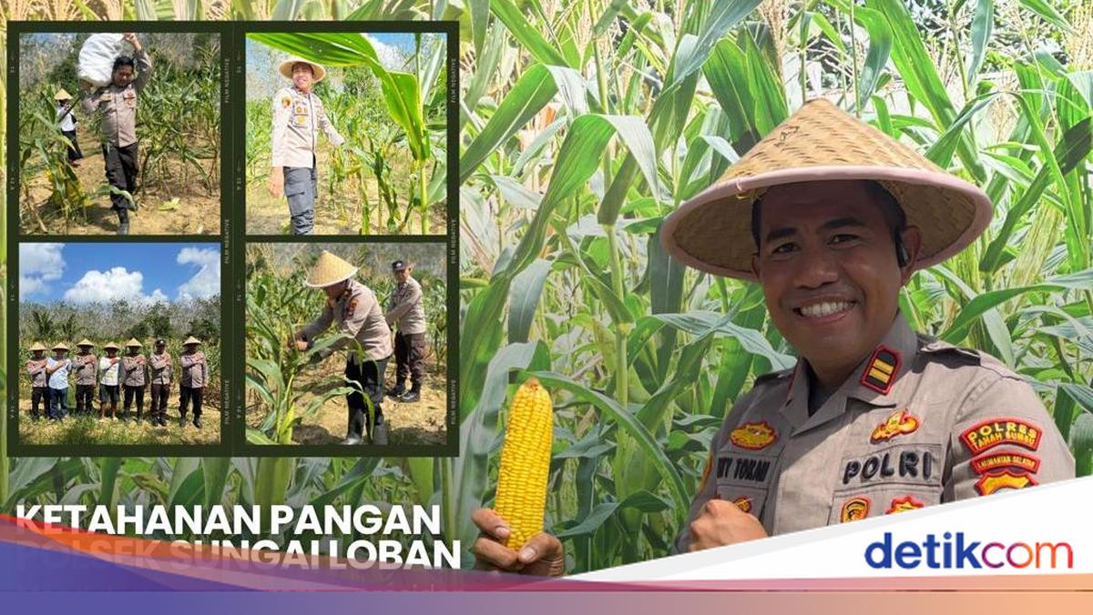 Pengabdian Iptu Kity di Kalsel, Berdayakan Petani hingga Tindak Mafia Tanah